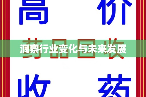 长沙洞察行业变化与未来发展
