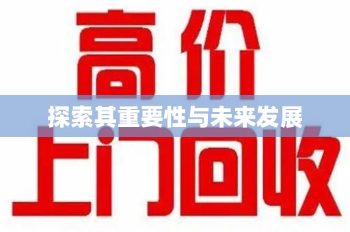 长沙探索其重要性与未来发展