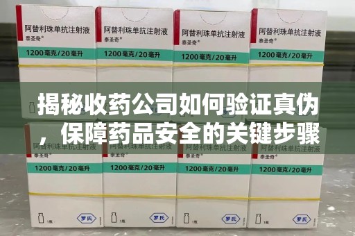 长沙揭秘收药公司如何验证真伪，保障药品安全的关键步骤