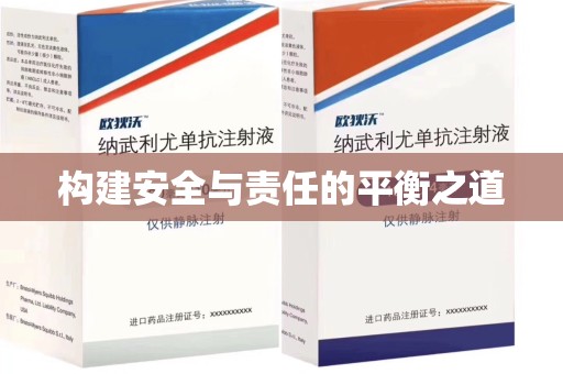长沙构建安全与责任的平衡之道