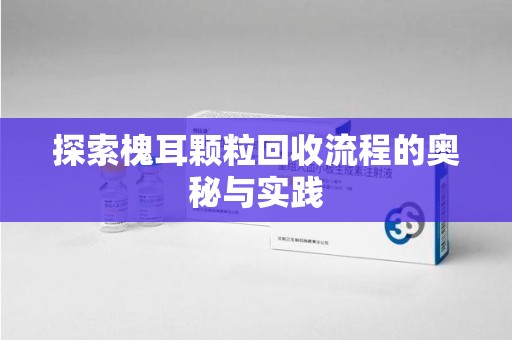 长沙探索槐耳颗粒回收流程的奥秘与实践