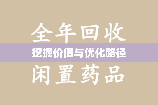 长沙挖掘价值与优化路径